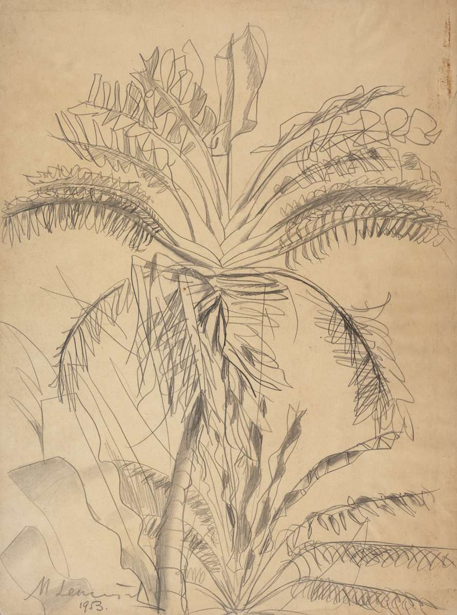 Untitled (Hope Gardens) by Michael Lester  Image: Recto