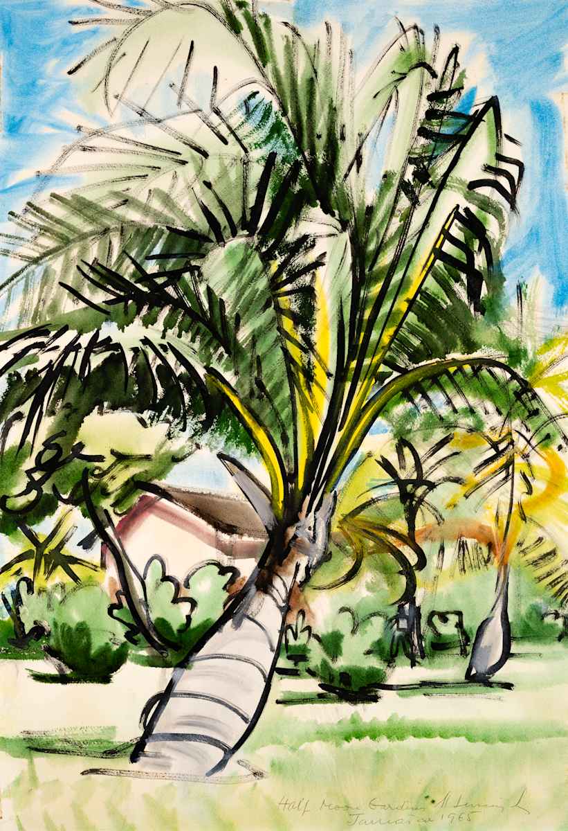 Half Moon Gardens by Michael Lester  Image: Half Moon Gardens