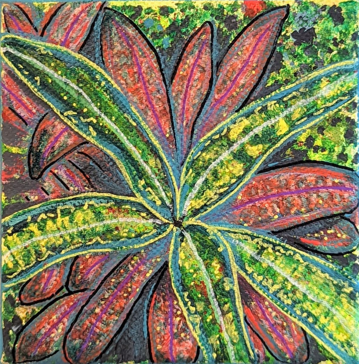 Splatter Croton Plant by Roshni Patel, Image 4.