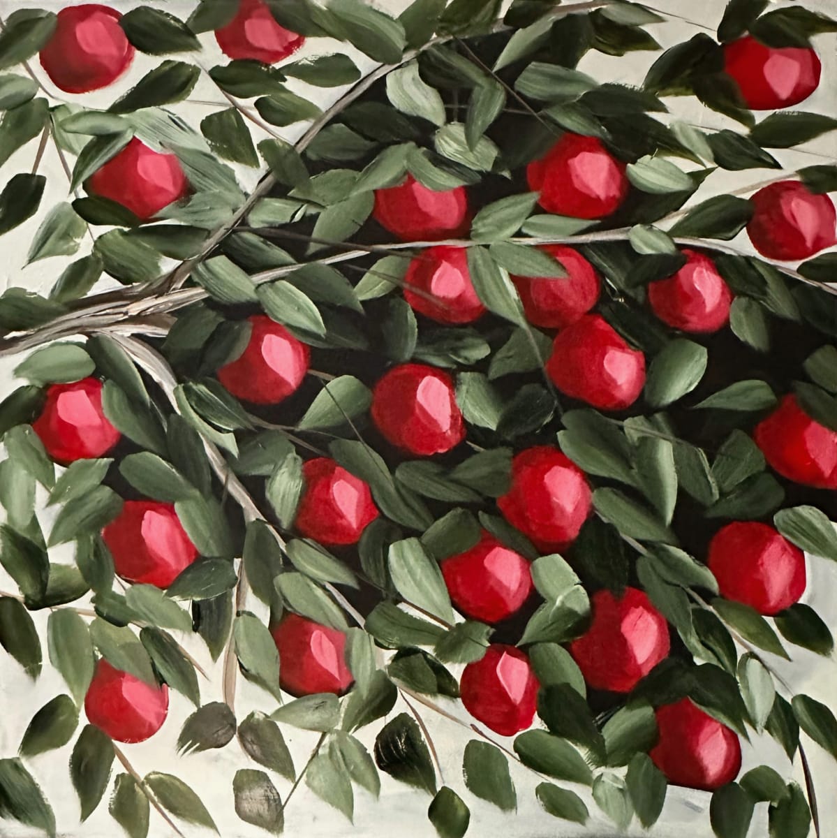 Apple Tree #6 | Framed by amanda rubenstein 