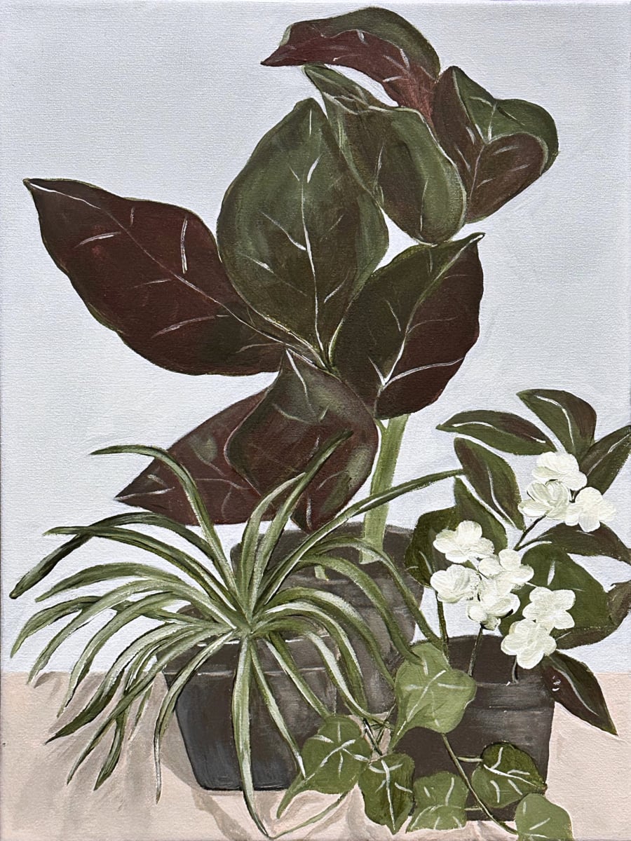 Pot Plants | Framed by amanda rubenstein 