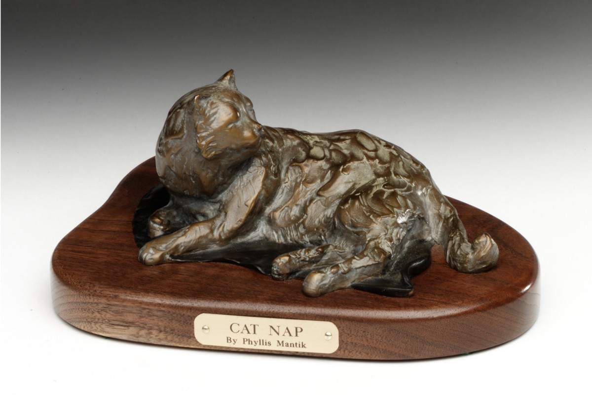 Cat Nap by Phyllis Mantik deQuevedo 