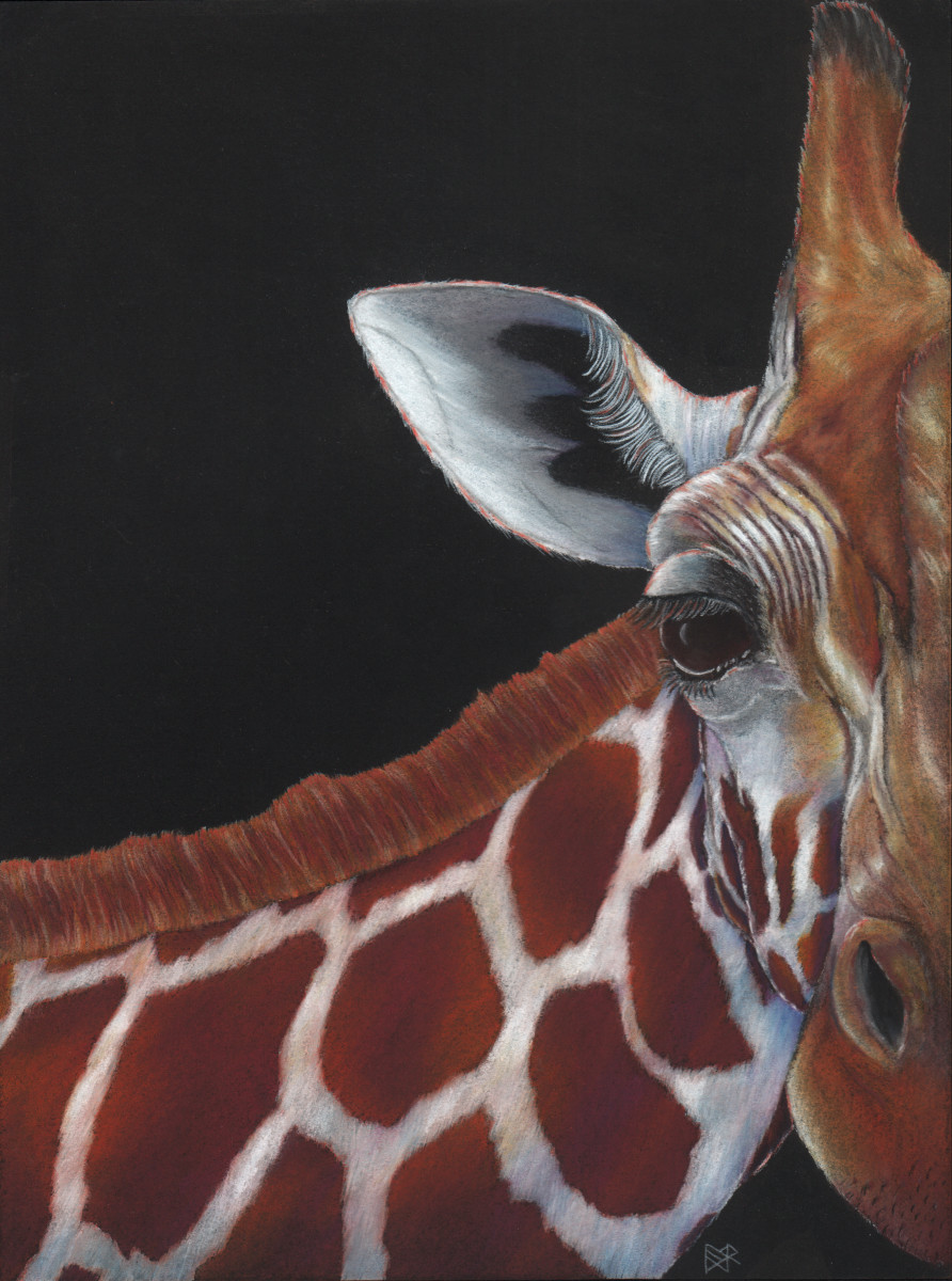 PatternEyes Series - Giraffe by Lori Corbett 