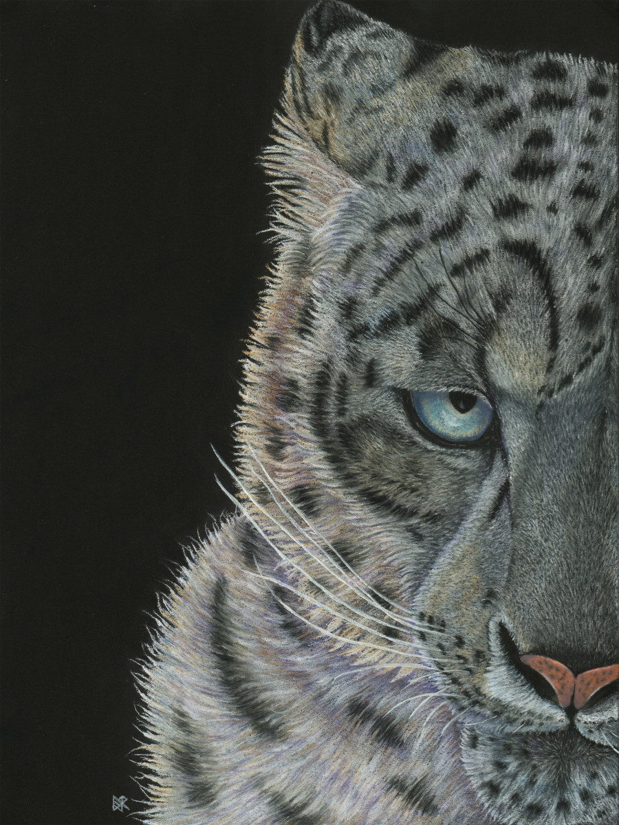 PatternEyes - Snow Leopard by Lori Corbett 