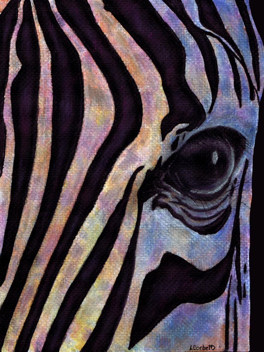 PatternEyes - Zebra by Lori Corbett 