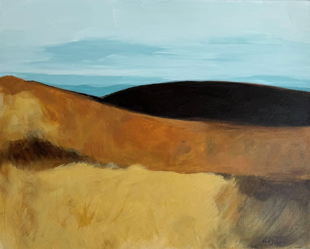 Burned Fields #2 by Heather Duris  Image: The contrast in color and texture of fields in the spring in Kansas. 
