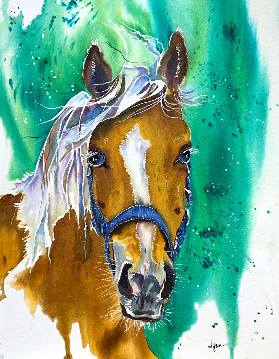 Goldie by Lynn Shield  Image: Goldie