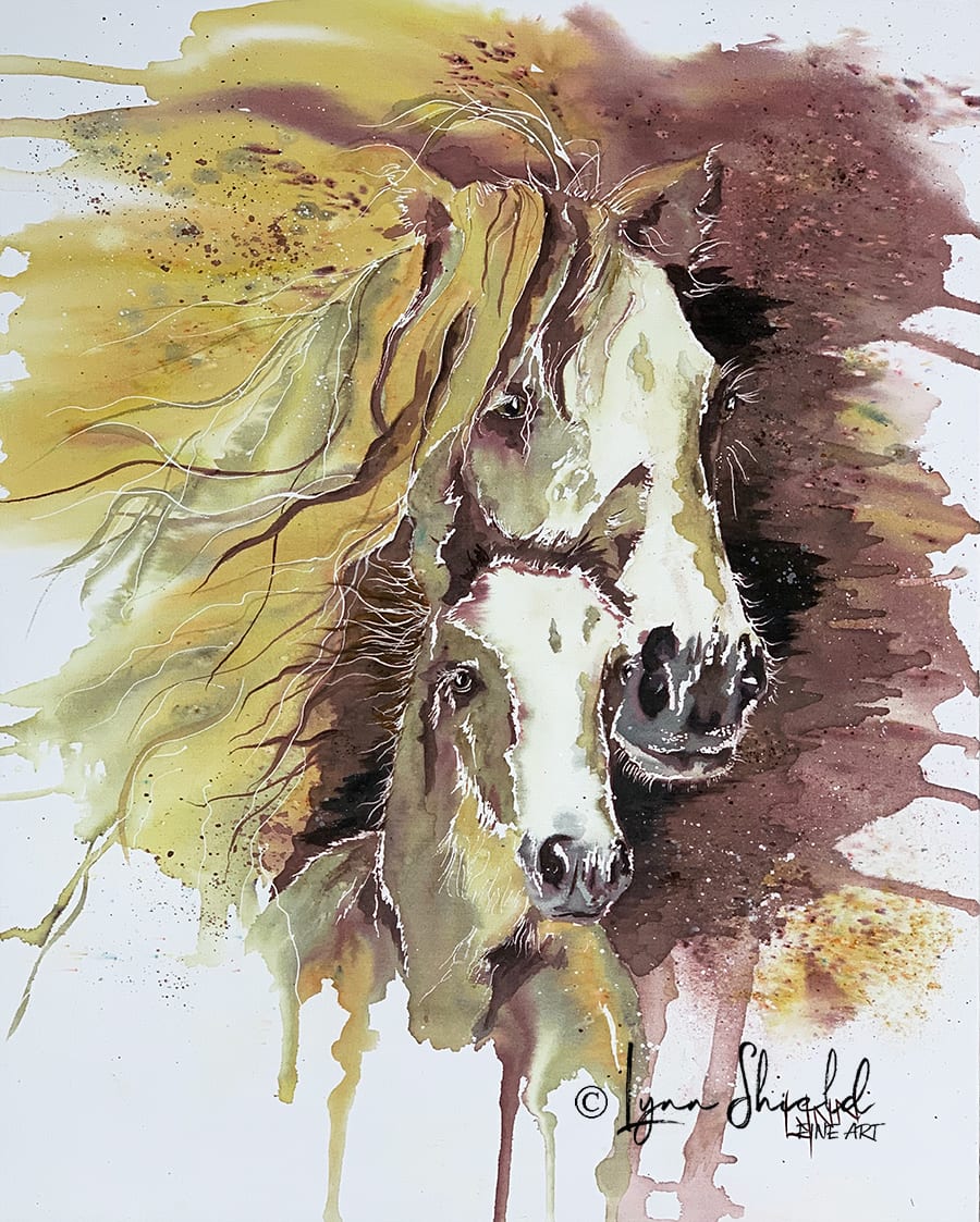 Gypsy Wind by Lynn Shield, Image 1.