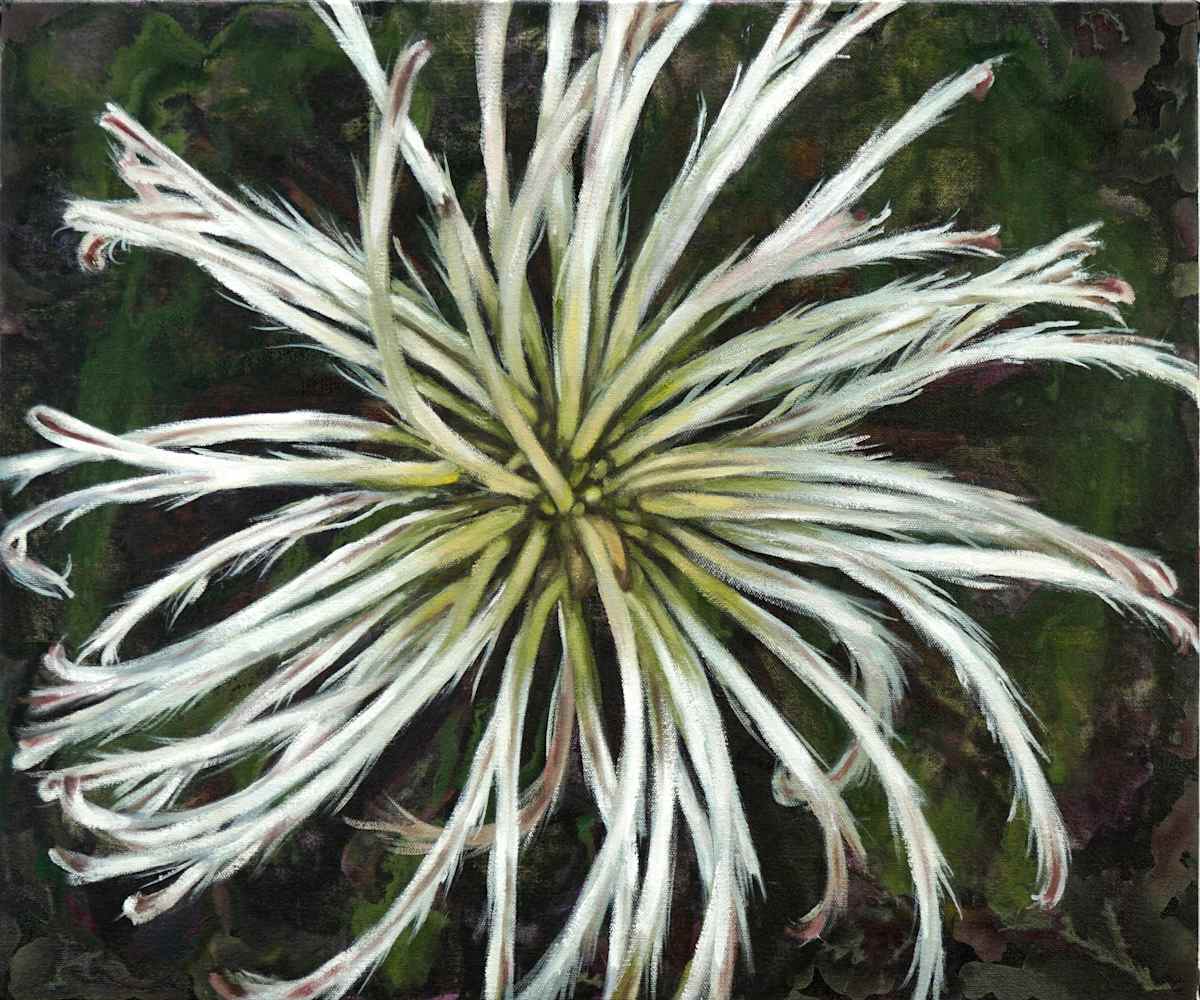 Devil's Darning Needles by Gail Roberts, Image 14.