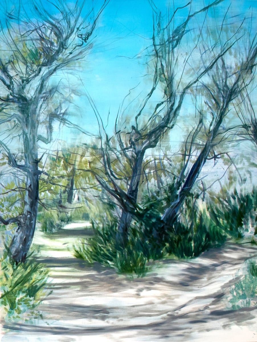 Split Path by Melanie Taylor, Image 1.