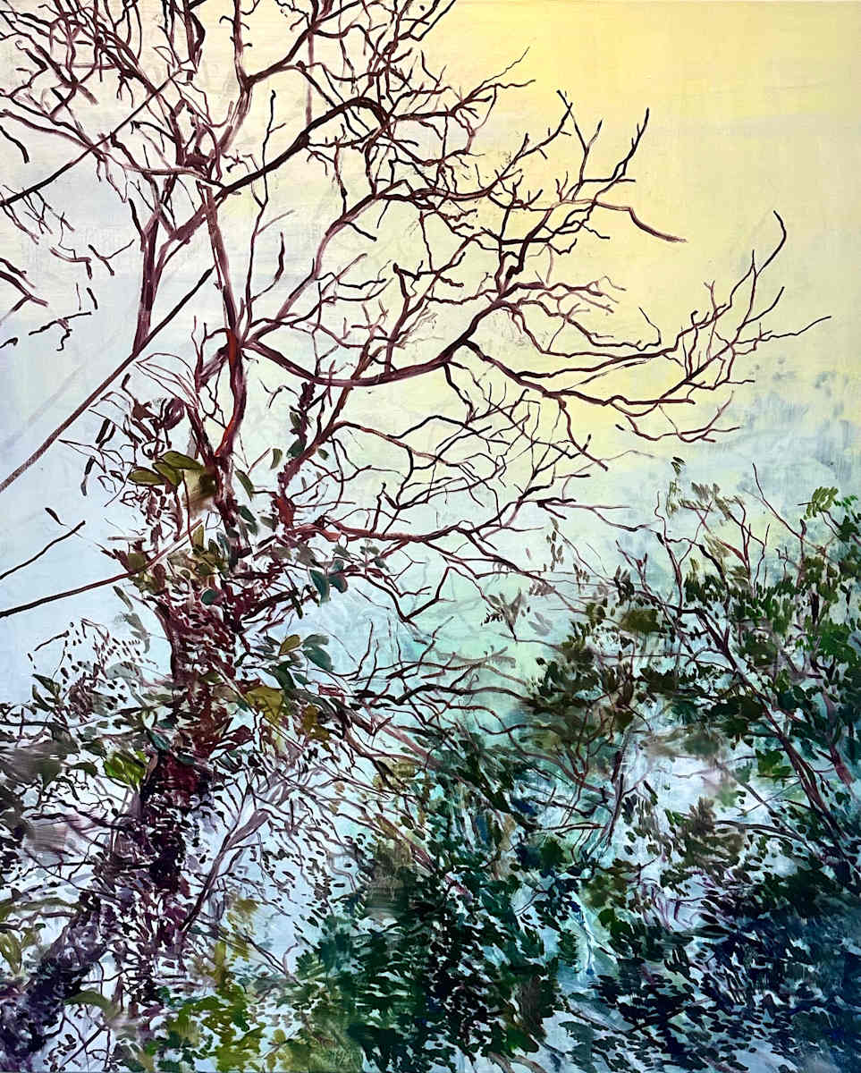 Thicket by Melanie Taylor, Image 8.