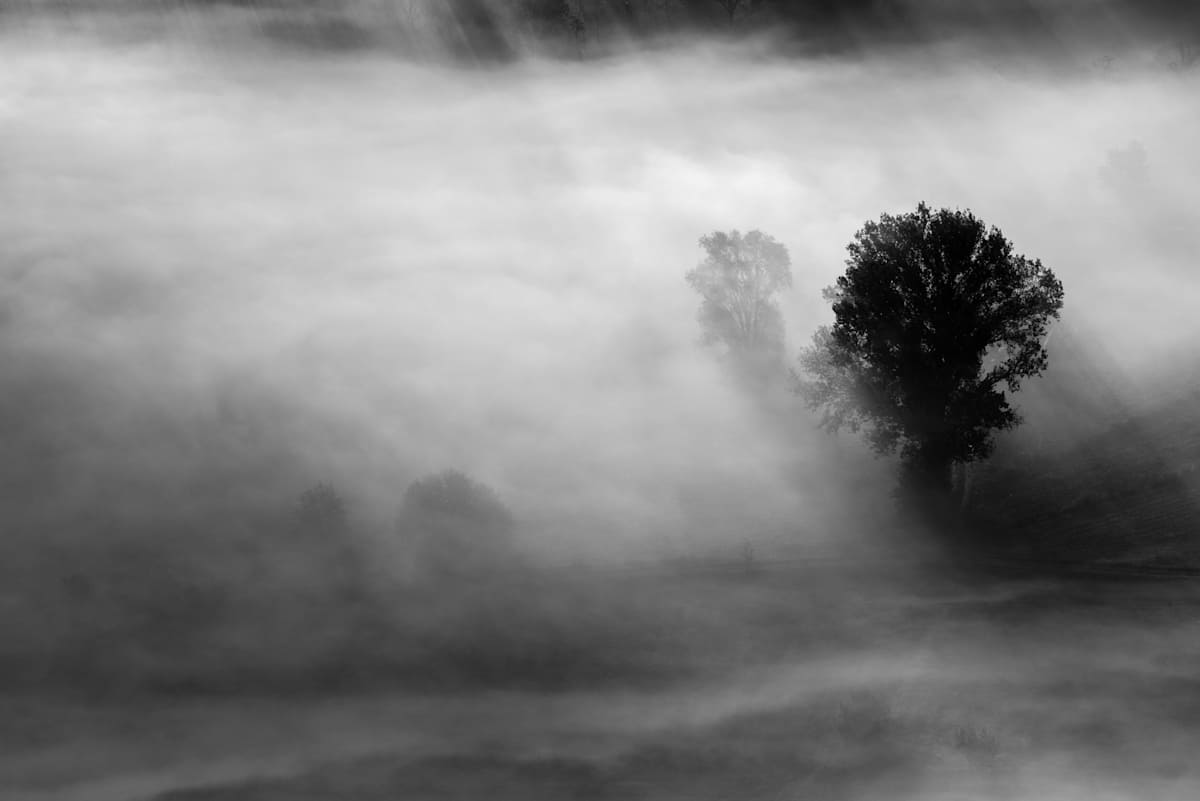 Morning Opened Slowly and Without Certainty by Ruth Delaney, Image 1.