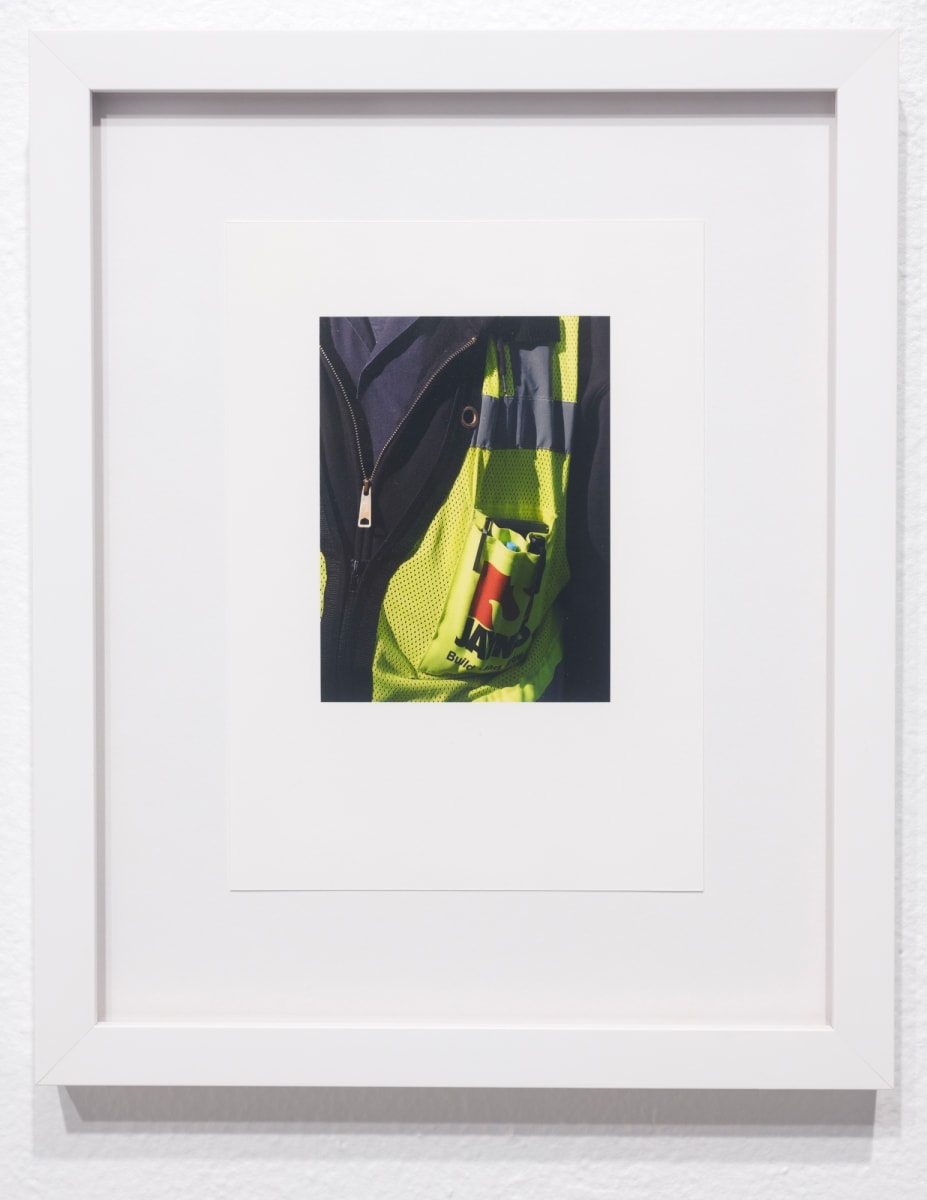 Jaynes Vest (Pan American Freeway) by Francis Reynolds, Image 1.
