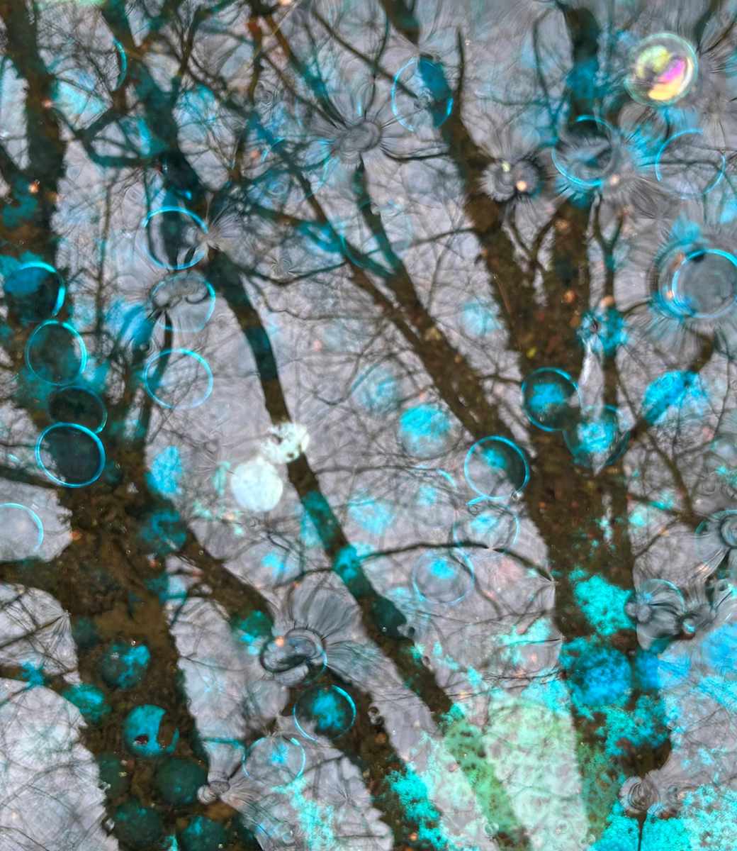 Orbs Approaching by Kathryn Endlein Redden  Image: Images in a bird bath captured after a storm Black frame 