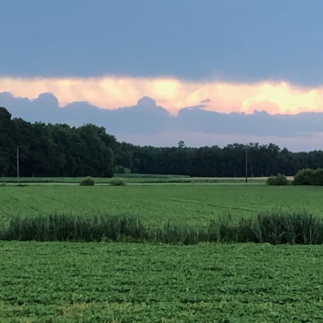 Peaceable Fields by Kathryn Redden, Image 1.