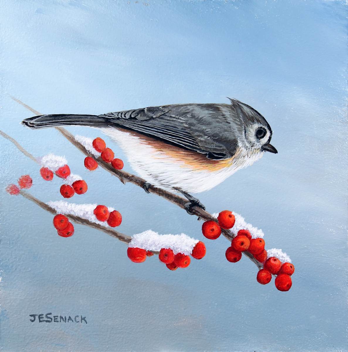 Tufted Titmouse with Winterberries by J Elaine Senack 