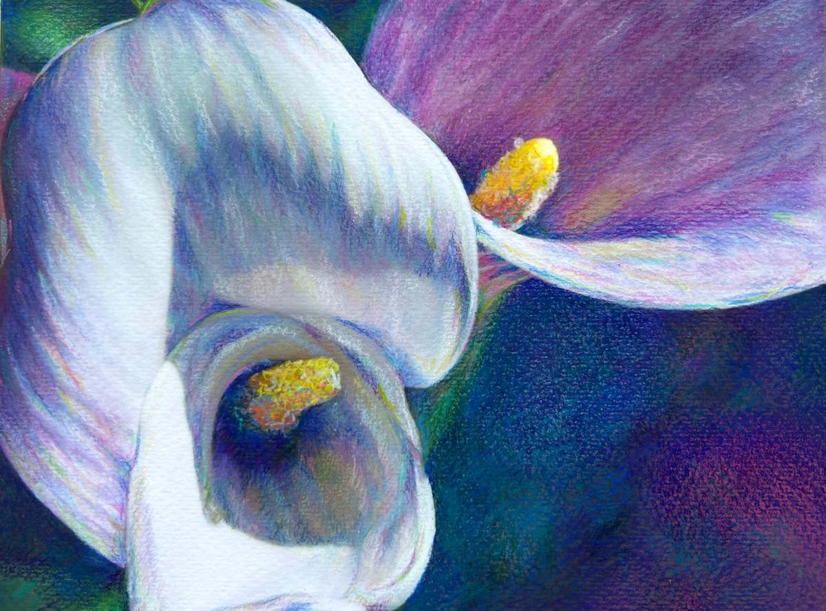 Calla Dreams by Eileen Baumeister McIntyre, Image 5.