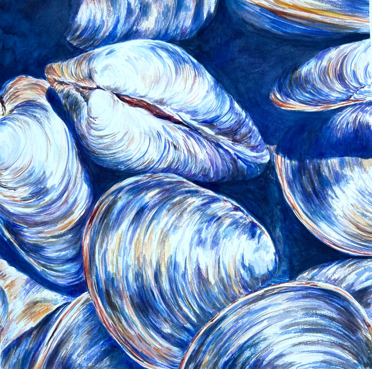 Clams by Eileen Baumeister McIntyre 