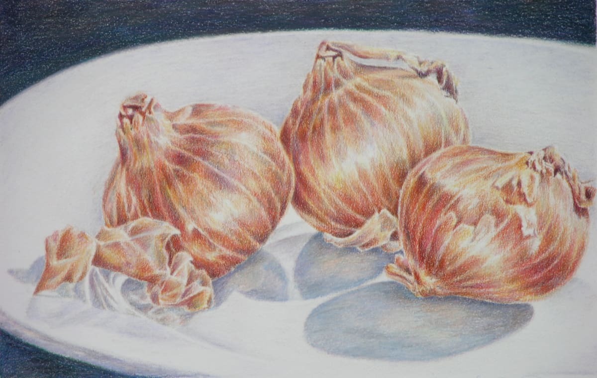 Shallots by Eileen Baumeister McIntyre 