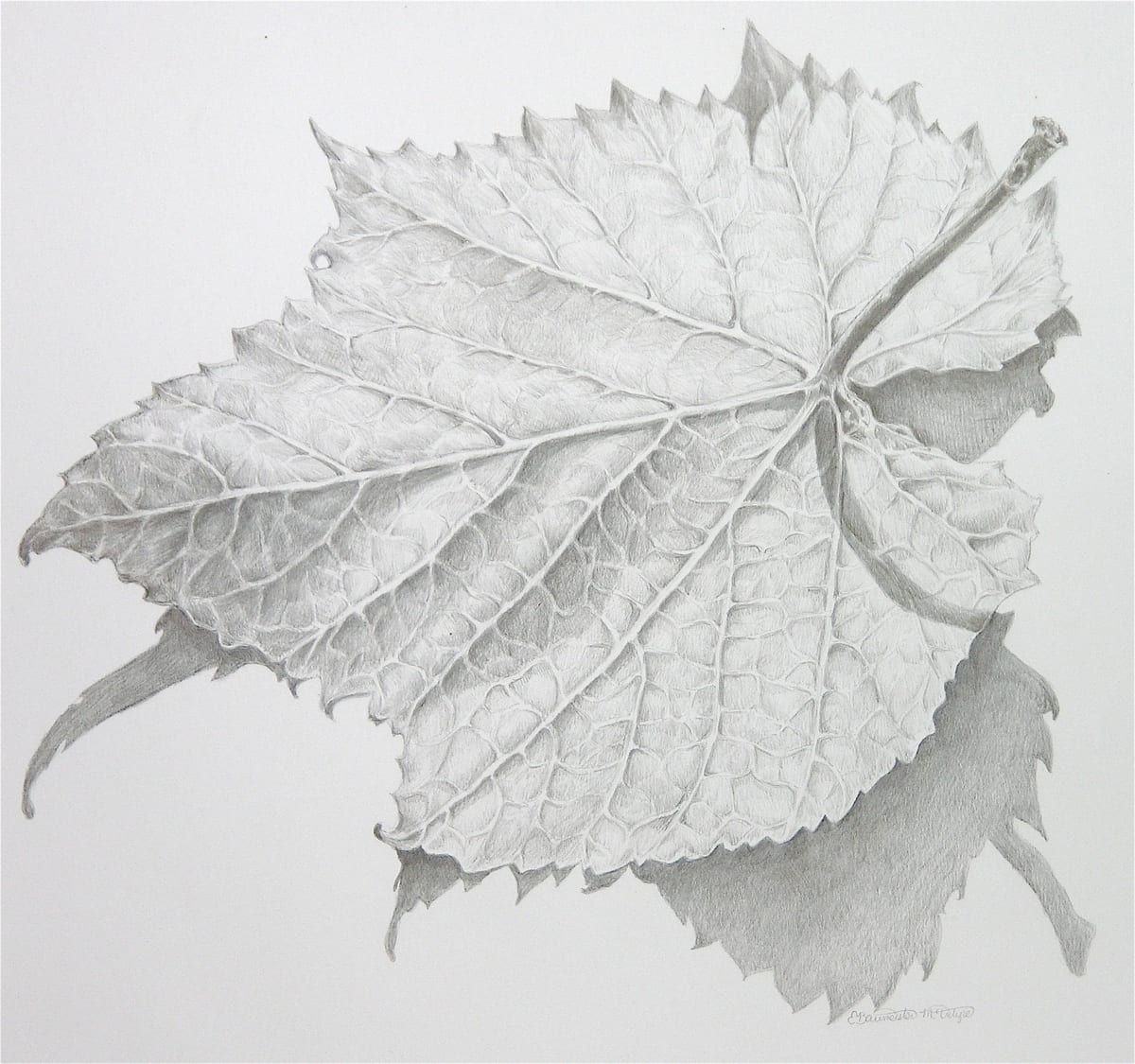 Wild Grape Leaf by Eileen Baumeister McIntyre 