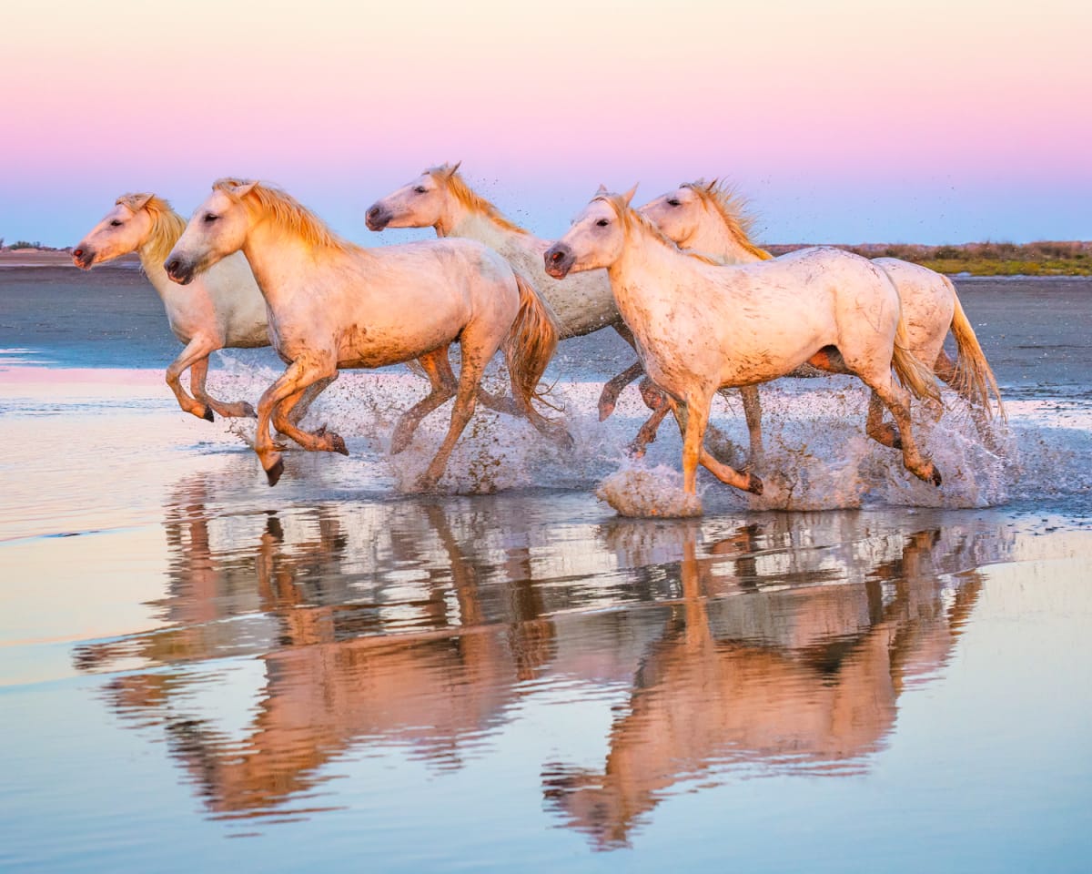 Heading Home by Dee McMeekan 