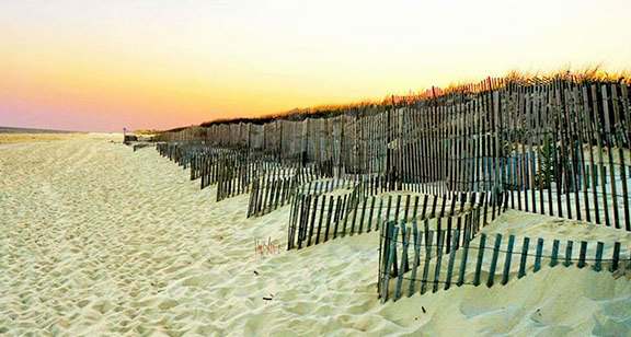 Diggiong for Treasure by Mary McKenna Ridge 