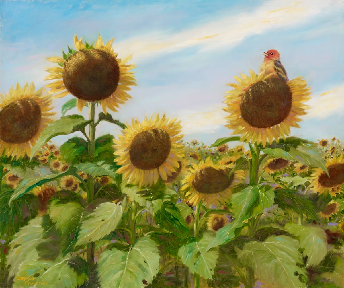 Sunflowers at Mattituck Farm by Denise Franzino 