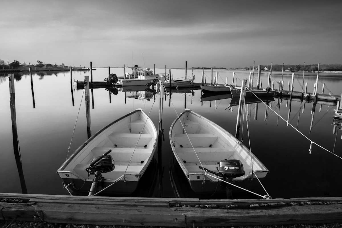 Silly Lilys Fishing Station by Raymond Germann 