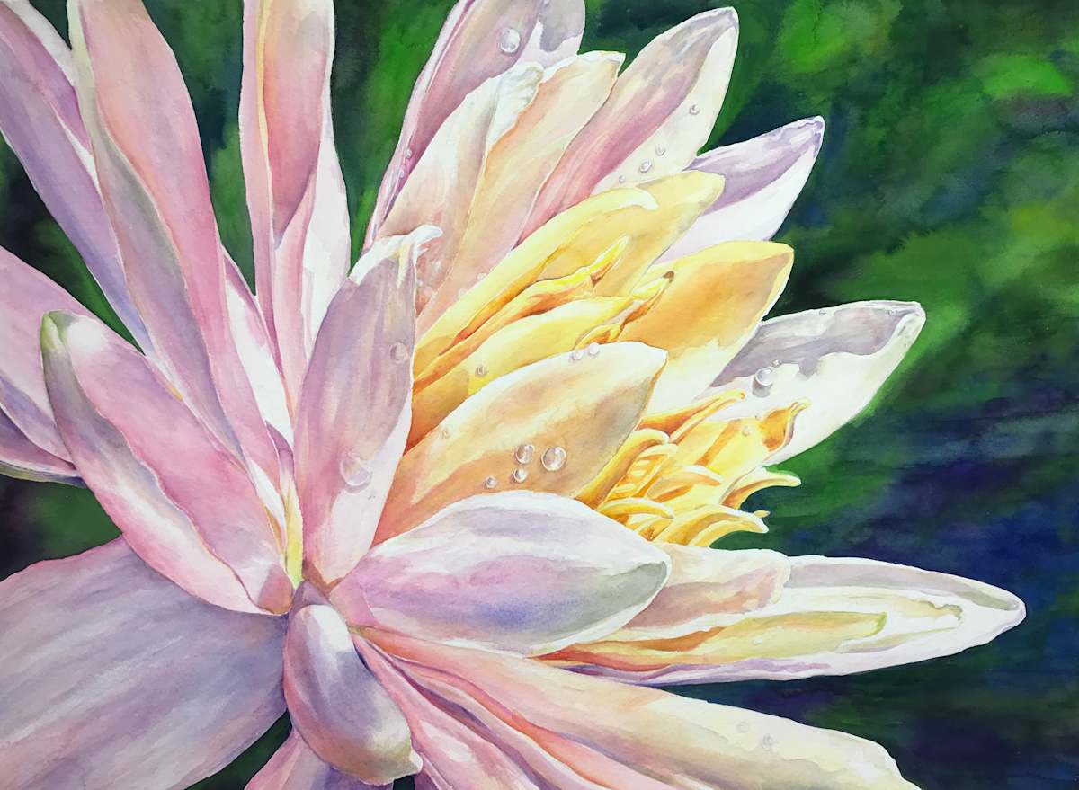 Hope by Eileen Baumeister McIntyre 