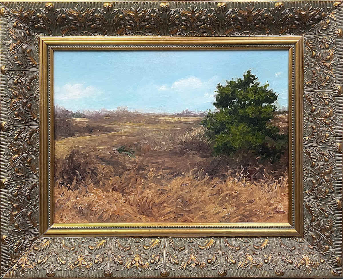 Barrens by David Peikon 