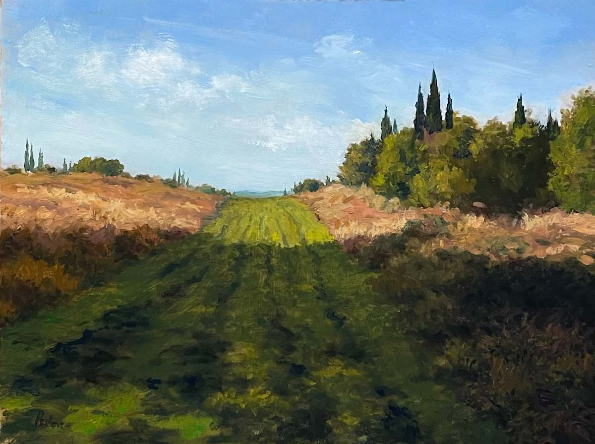 Fare Una Passegiata, Toscana by David Peikon 