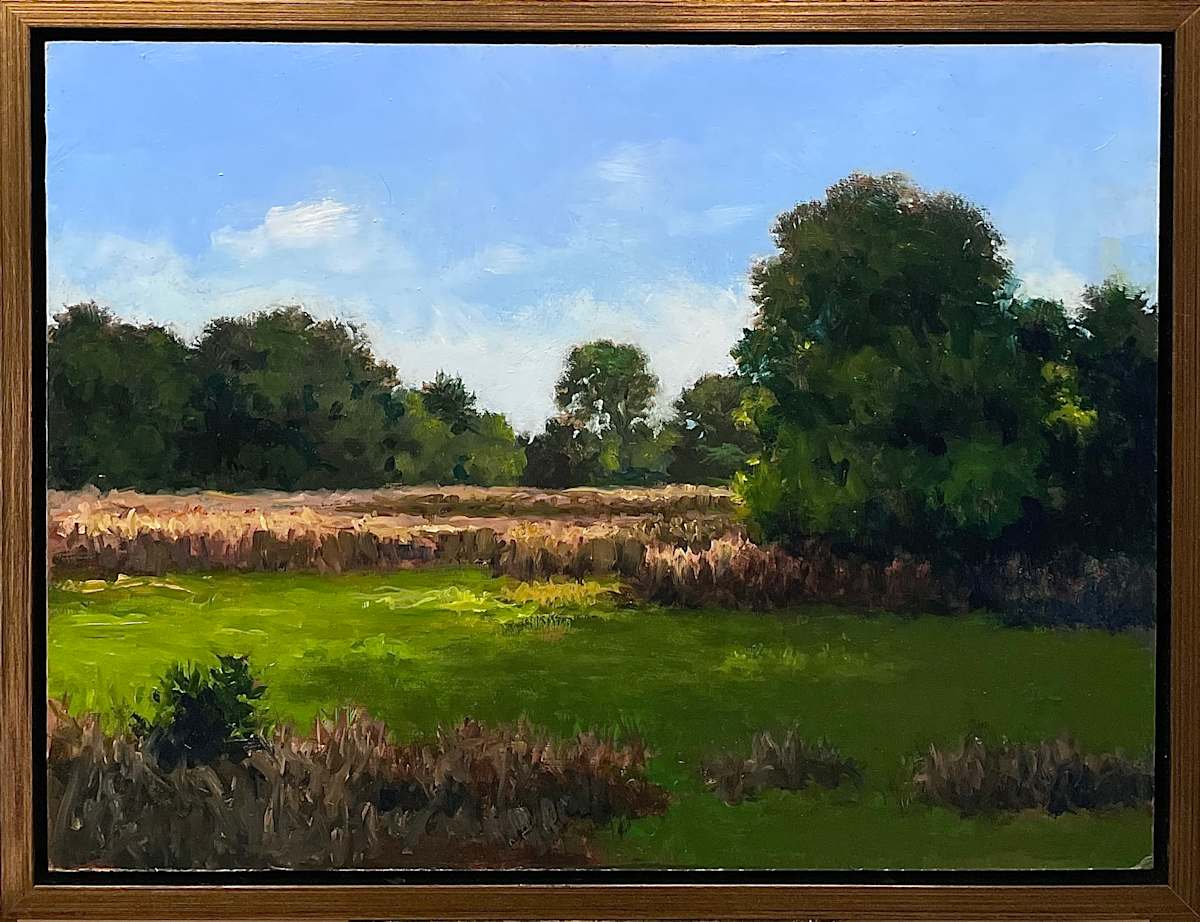 Light and Shadow by David Peikon 