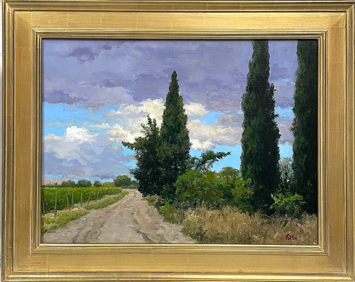 On the Vineyard Road by David Peikon 