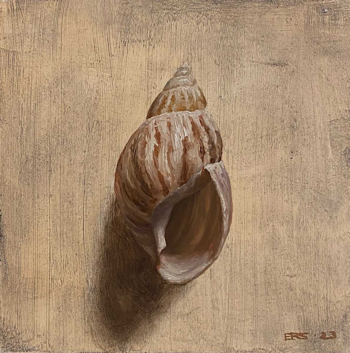 Small Striped Shell by Emma Rach-Syslak 