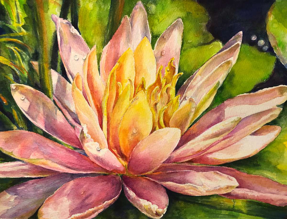 Waterlily by Eileen Baumeister McIntyre, Image 2.