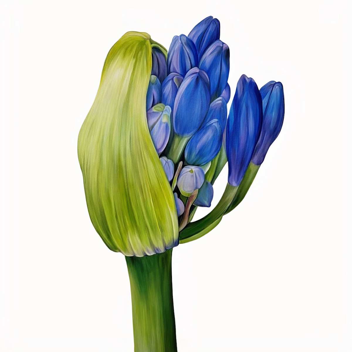 The Promise by Stephanie Lawing, Image 6.