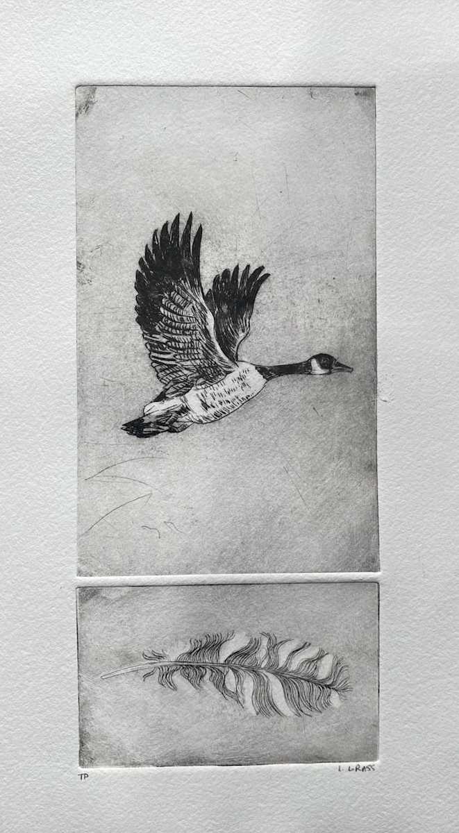 Loose Feather by Larissa Grass, Image 1.