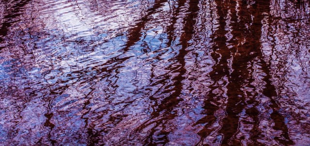 Moonlit, #2 by Jo Anne Dumas, Image 1.