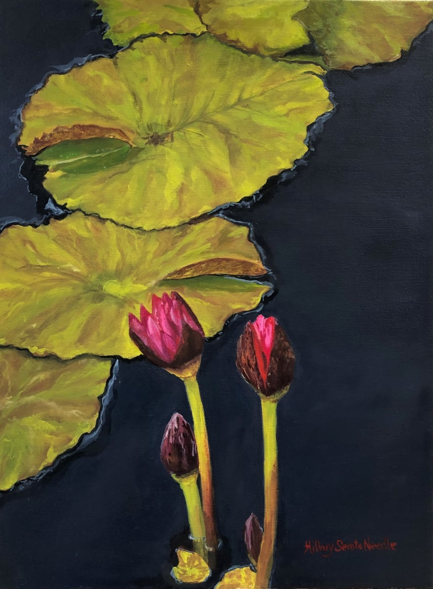 Nymphaea Hot Pink by Hillary Serota Needle 