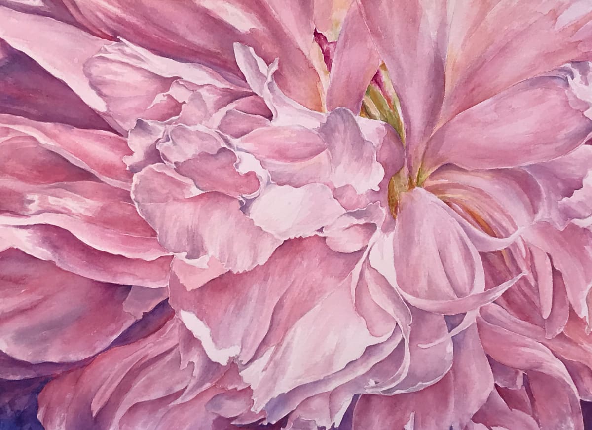 Pink Peony by Eileen Baumeister McIntyre 