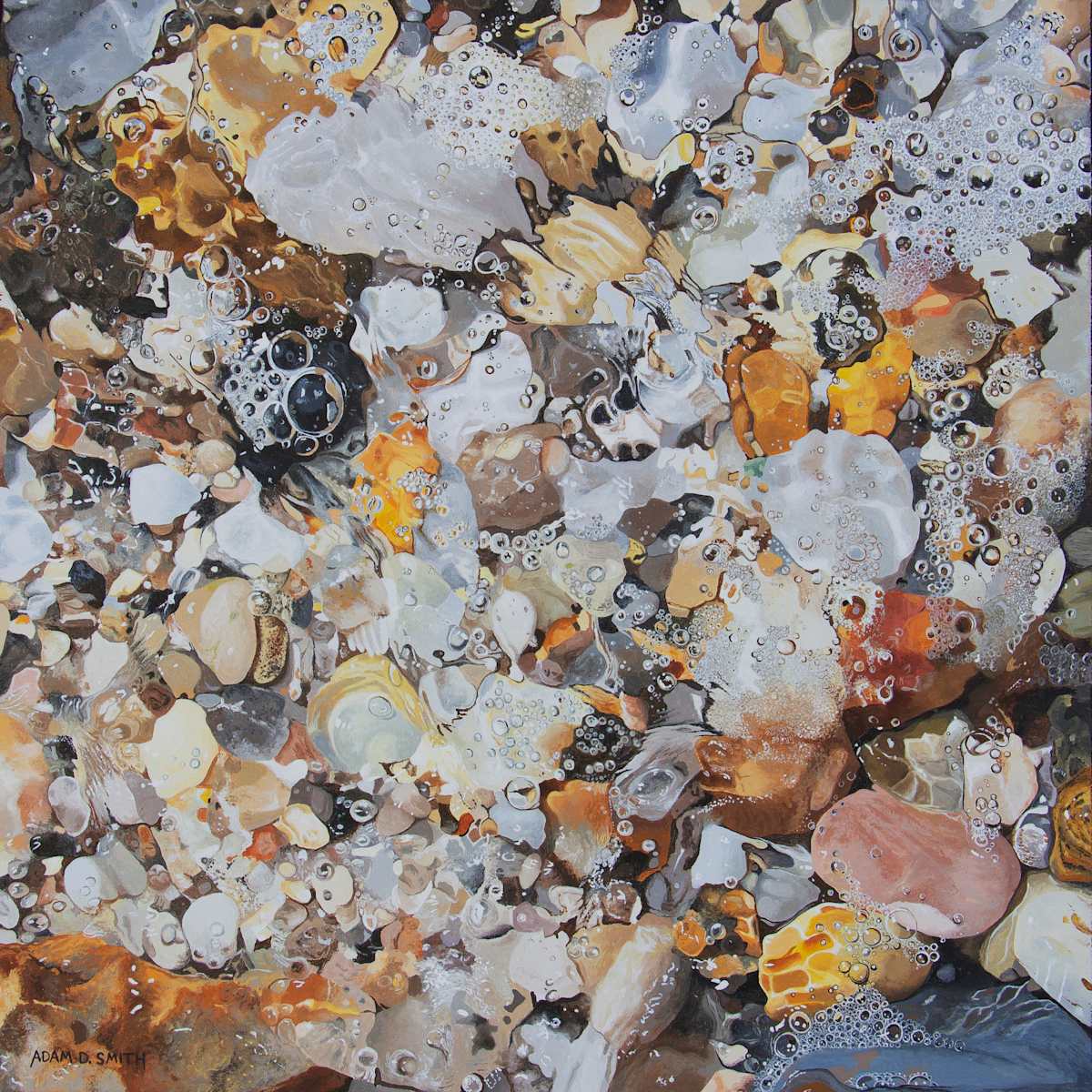 Shallow by Adam D. Smith, Image 1.