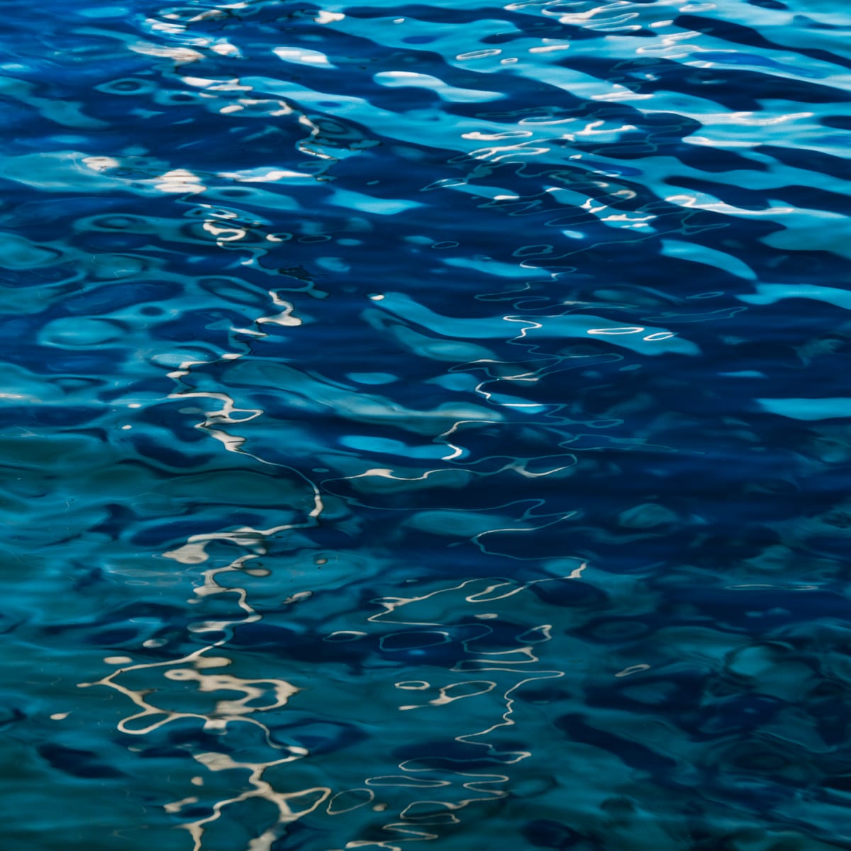 Silver and Blue #2 by Jo Anne Dumas 