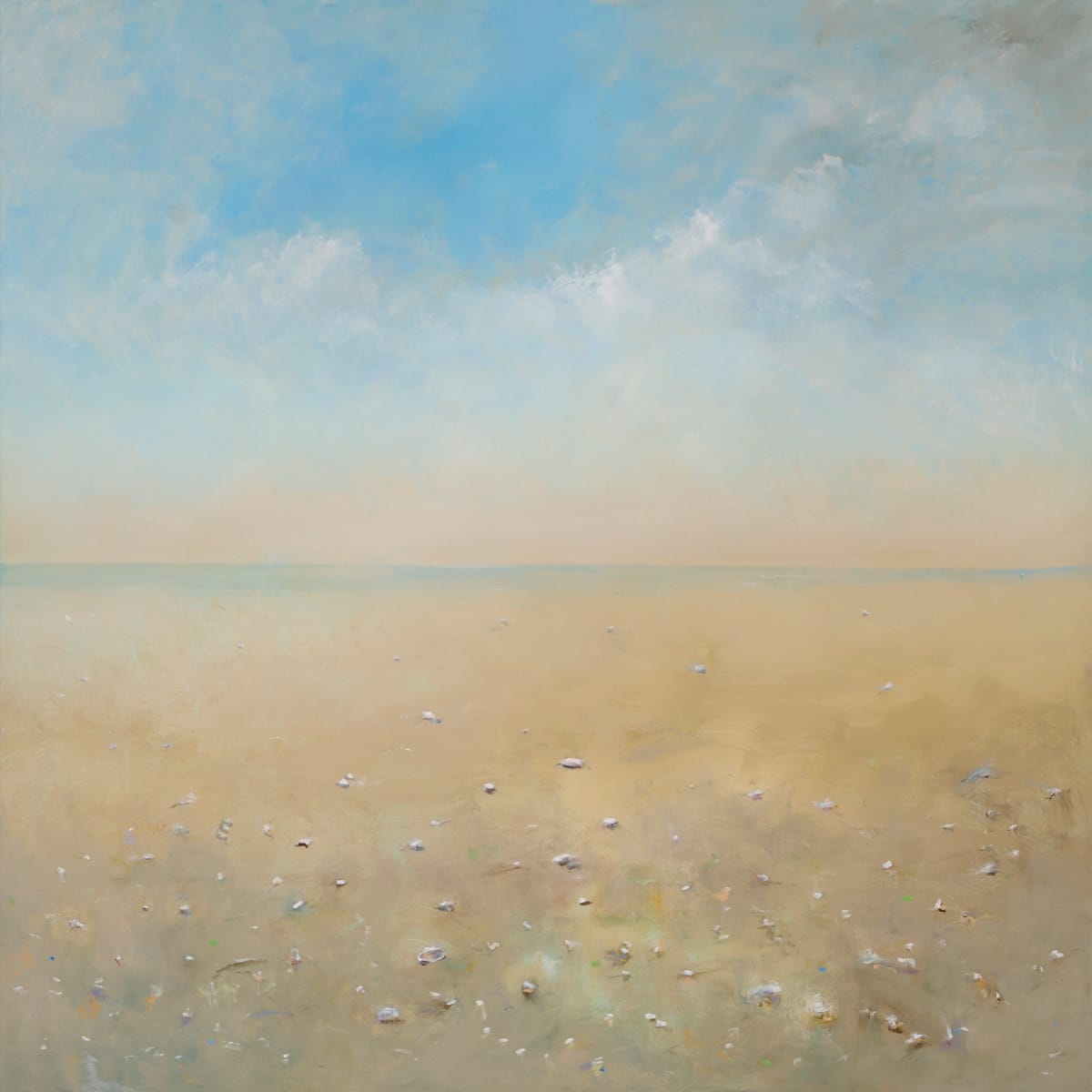 Terrain 