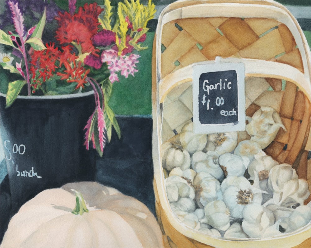 Garlic by Madeline Daversa 