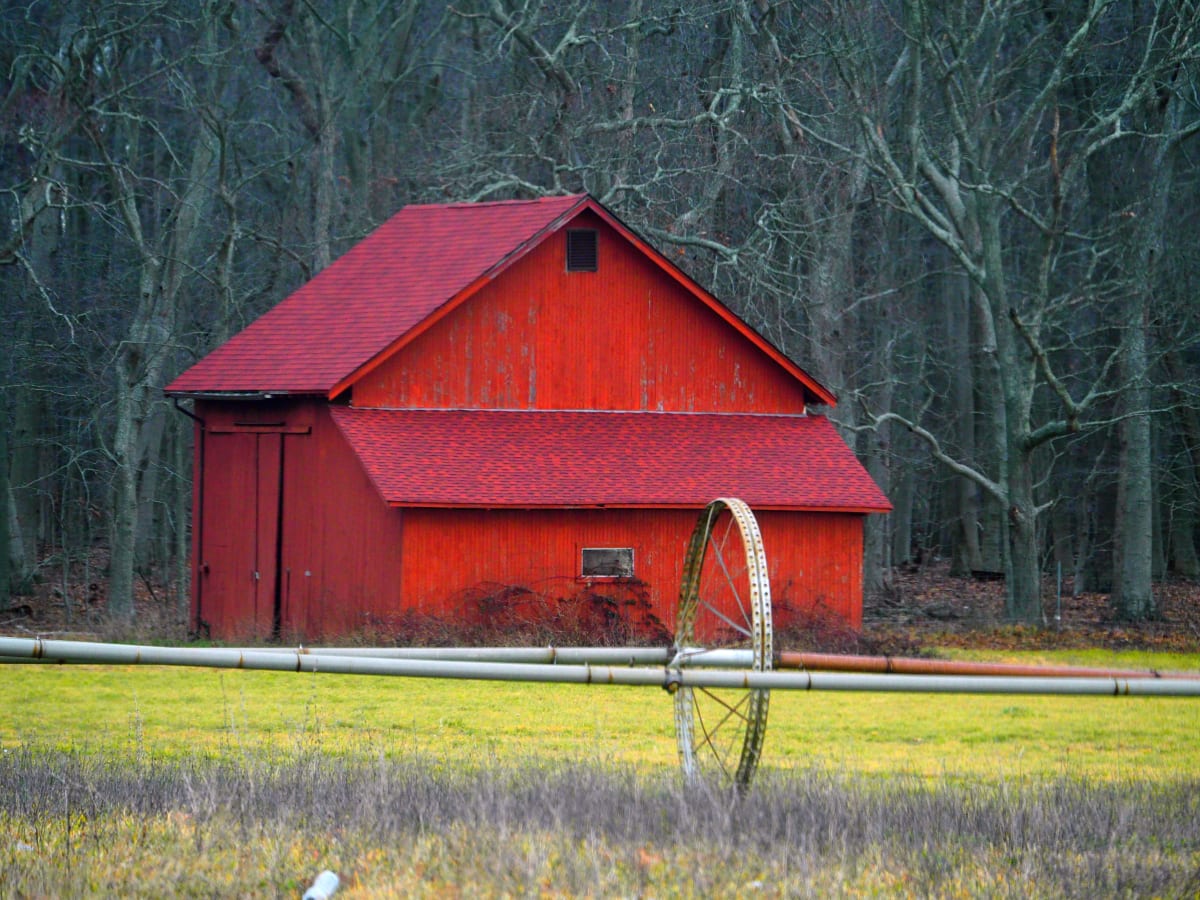 Winter Barn by Susan Saunders 