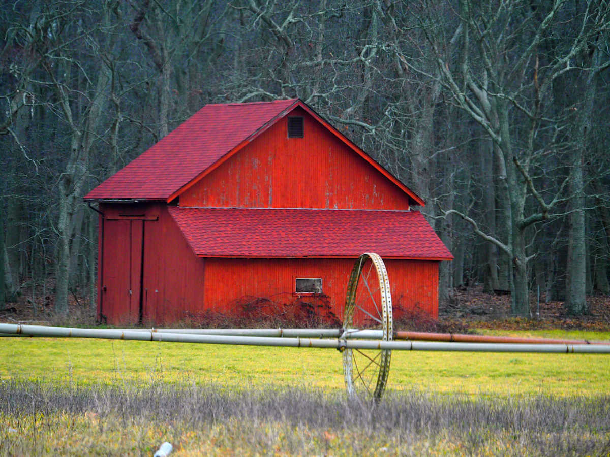 Winter Barn by Susan Saunders, Image 1.