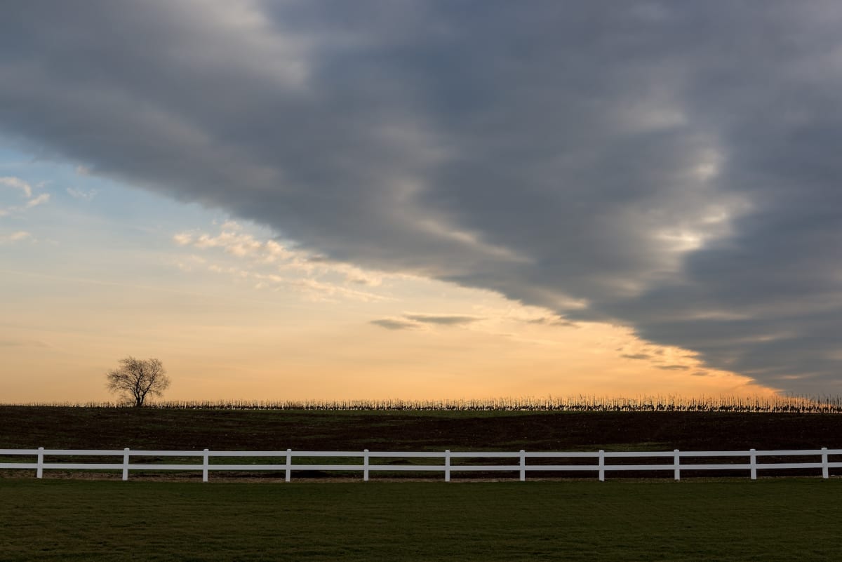 Cloud Cover by Mike McLaughlin 