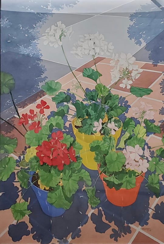 Patio Geraniums by Terry Maxwell 