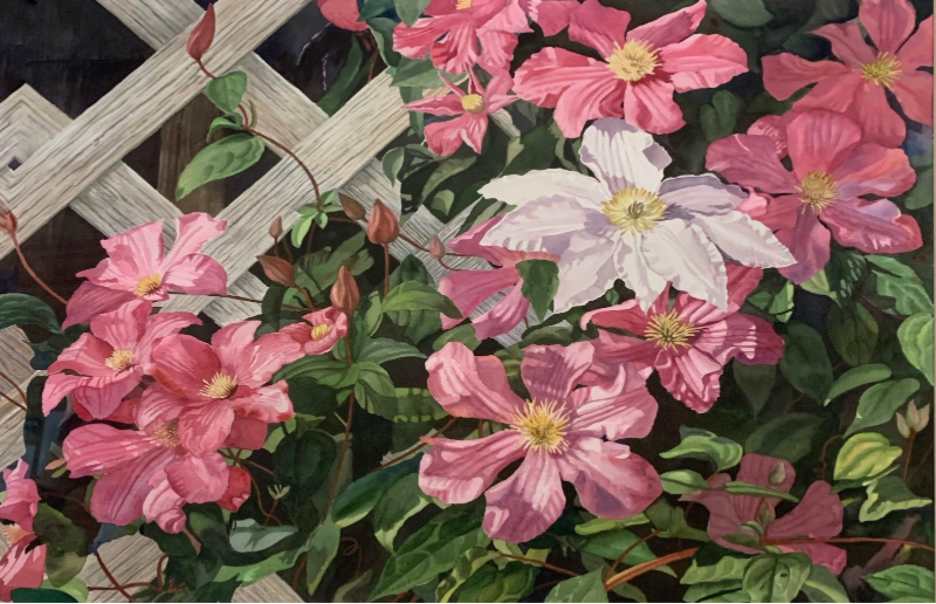 Clematis by Ellen Duncan, Image 1.