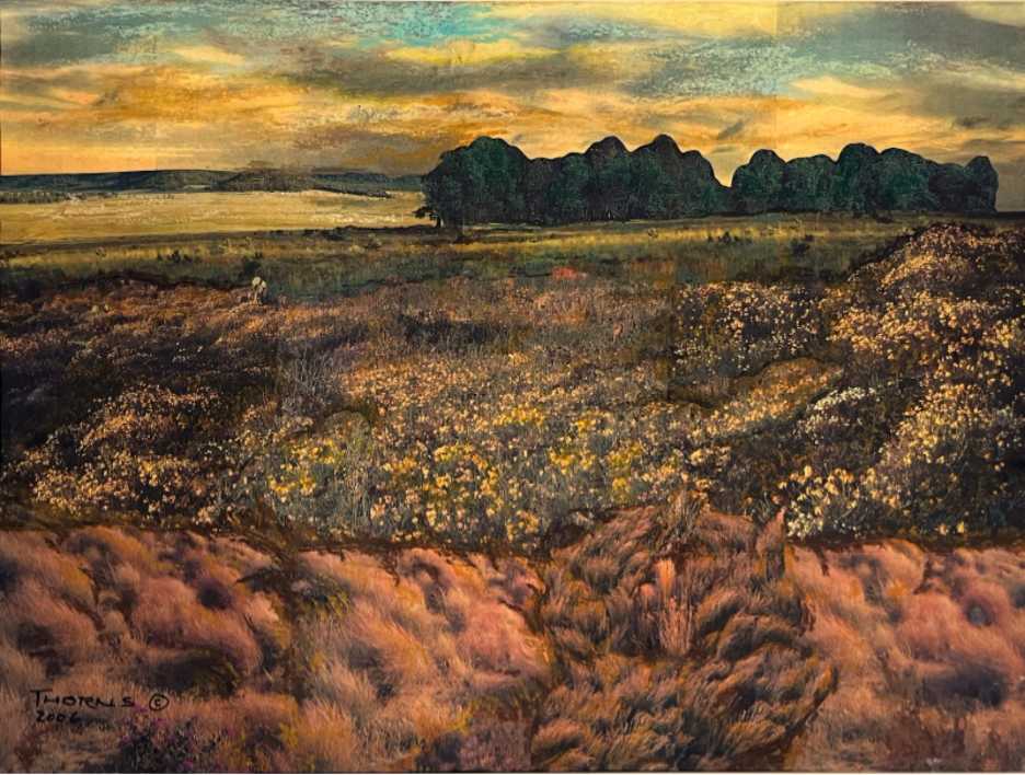 Hail Damage by John Thorns 
